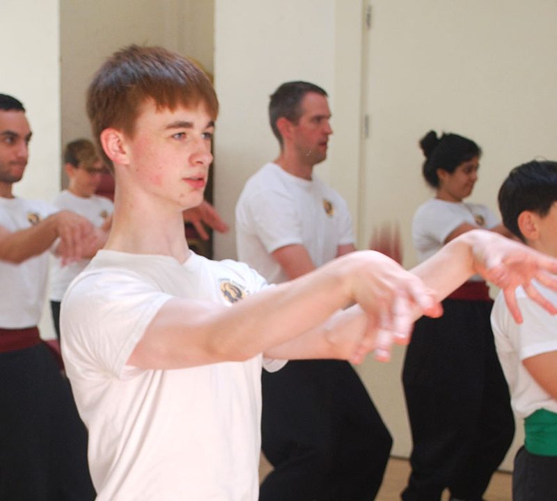 Tiger Crane Kung Fu students training