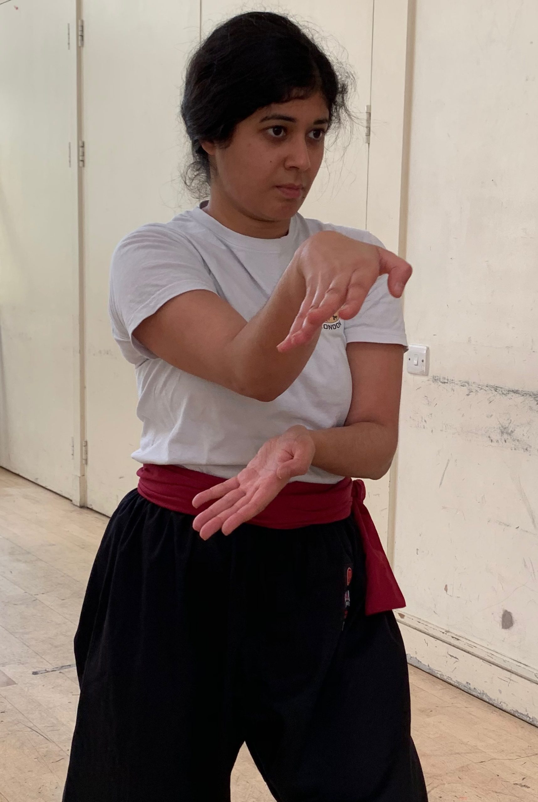 Kung Fu and the Art of Living