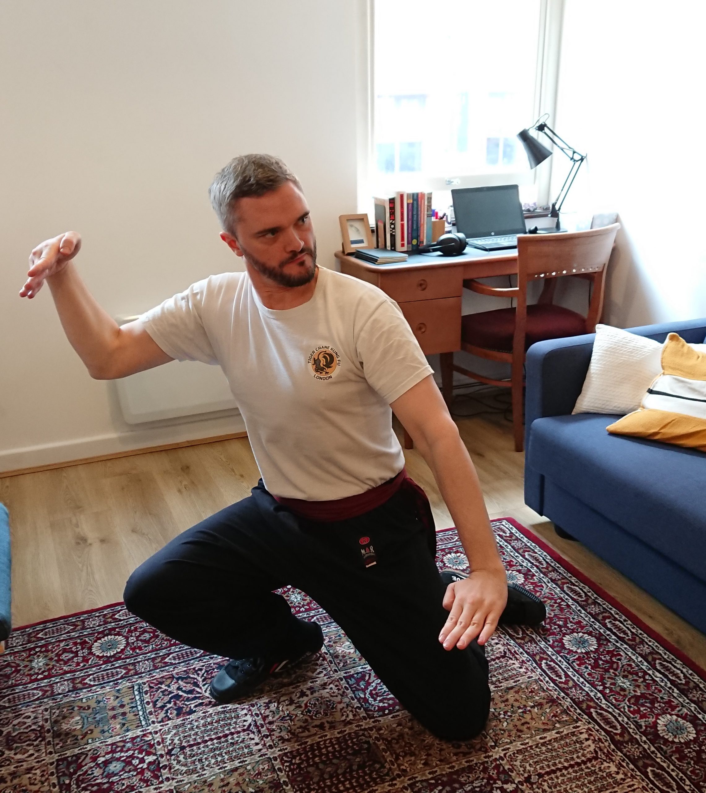 Remote Control: Kung Fu in the Living Room